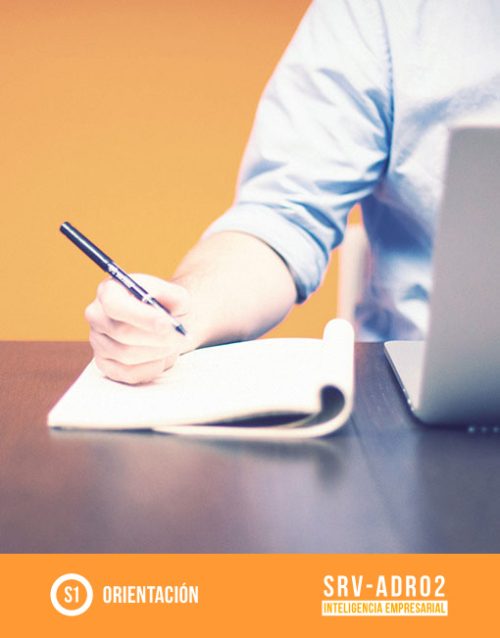 auditoría web pro