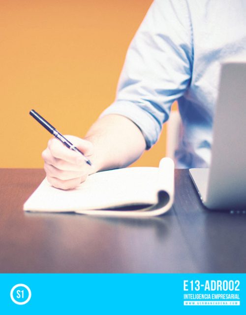 auditoría web pro