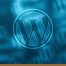 wordpress soporte anual