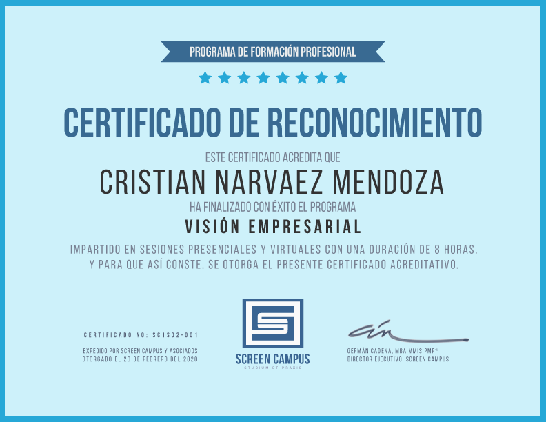 visión empresarial