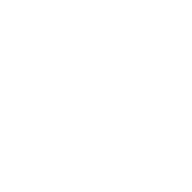 asesoría empresarial